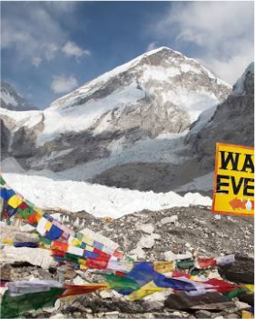 NextUI Fruit Image with Zoom