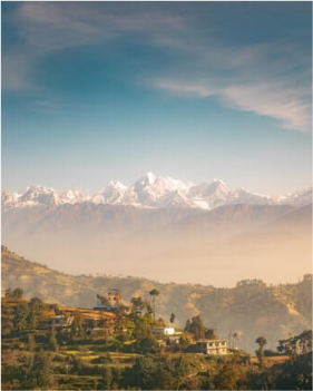 NextUI Fruit Image with Zoom