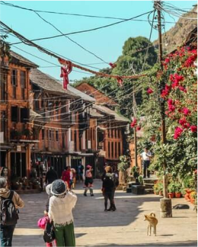 NextUI Fruit Image with Zoom