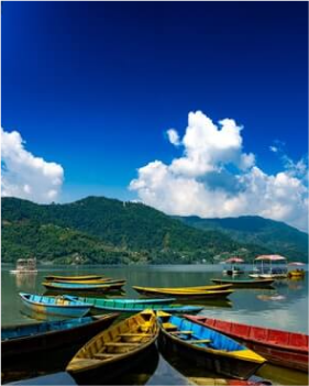 NextUI Fruit Image with Zoom