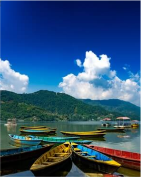 NextUI Fruit Image with Zoom