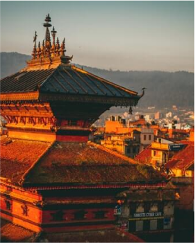 NextUI Fruit Image with Zoom